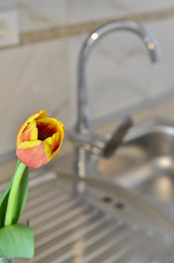 Apartmani Peric 1 Meka Draga Obrovac Bagian luar foto